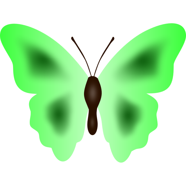 Butterfly in green color | Free SVG