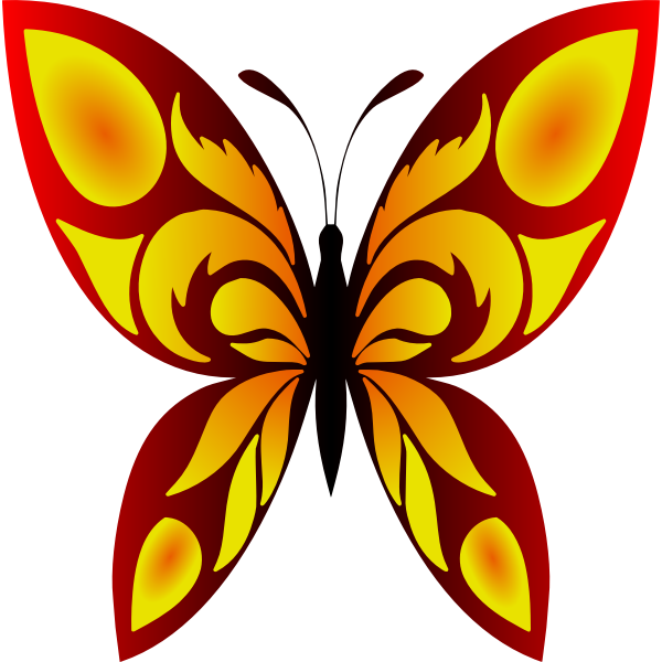 Butterfly34