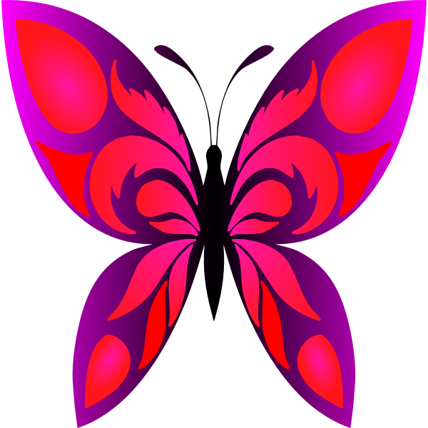 Butterfly 34 Colour 4 | Free SVG