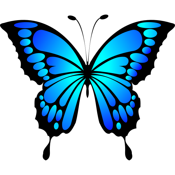 Download Butterfly Blue | Free SVG