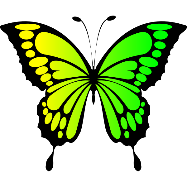 Download Butterfly Yellowgreen Free Svg