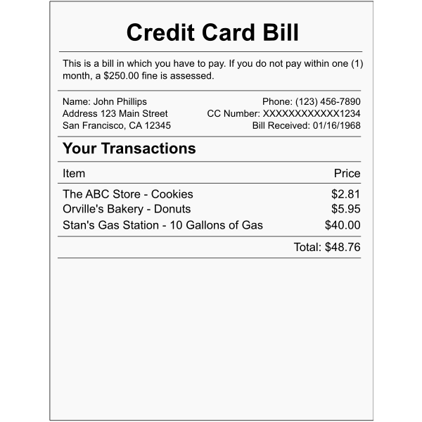 Vector illustration of credit card bill example