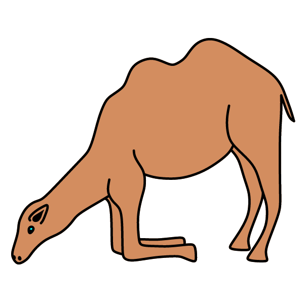 Camel 3