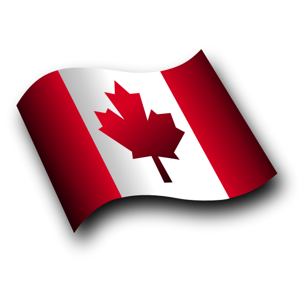 Canadian waving flag vector image