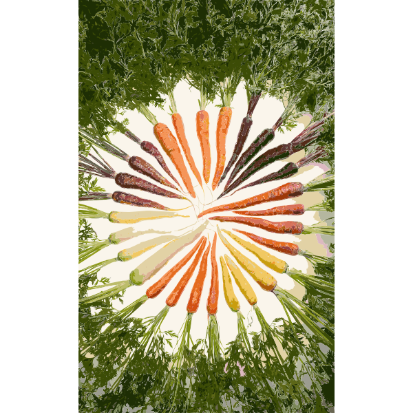 Carrots of many colors 2016122026