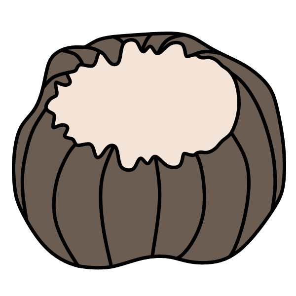Chestnut 5