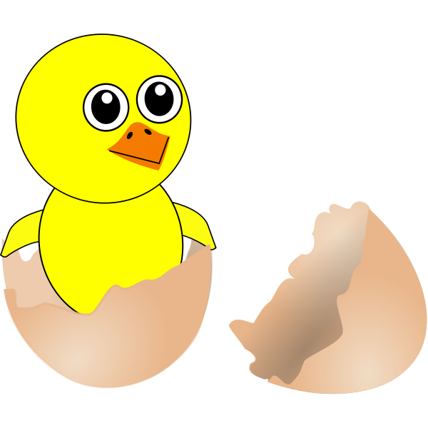 Newborn chicken in eggshell vector image