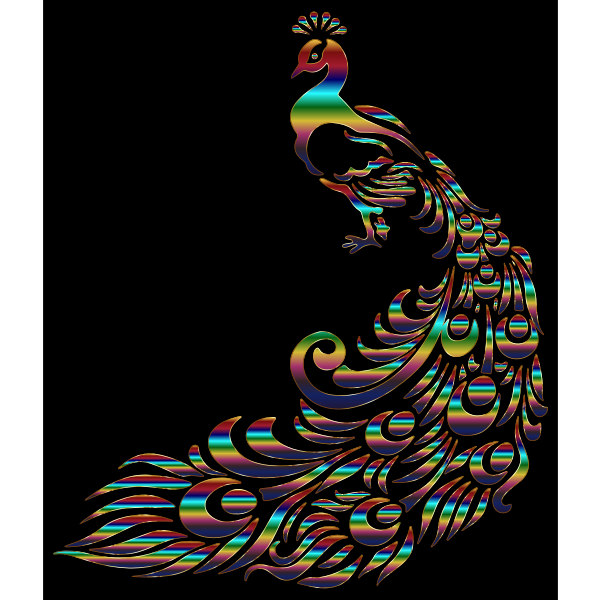 Chromatic Peacock 6