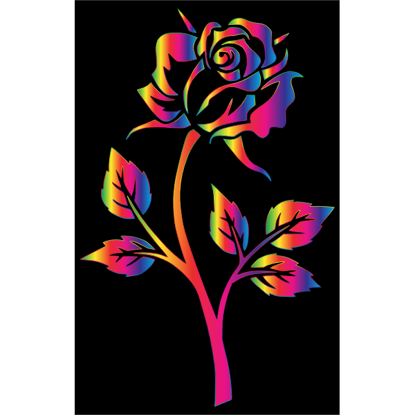 Chromatic Rose Silhouette 4