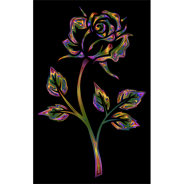 Chromatic Rose