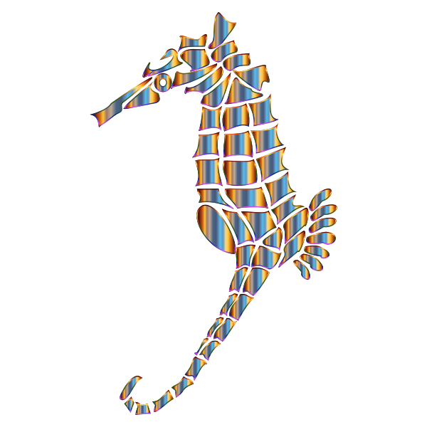 Chromatic Stylized Seahorse Silhouette No Background