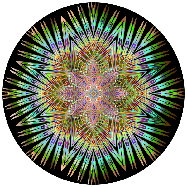 Chromatic Symmetric Mandala