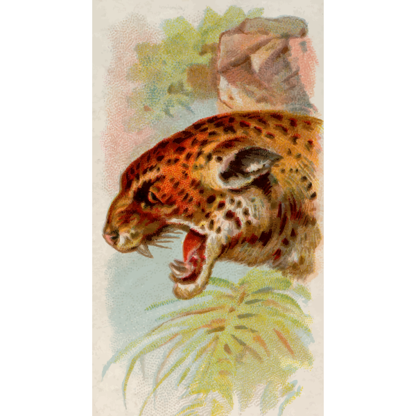 Jaguar illustration