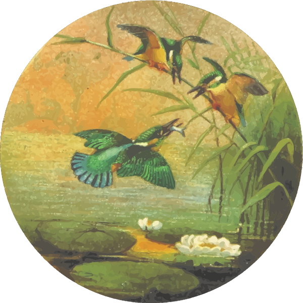 CircularKingfisher
