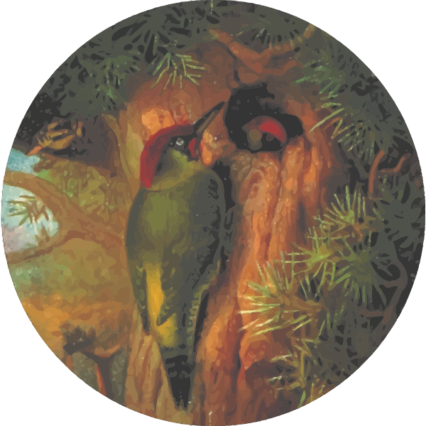CircularWoodpecker