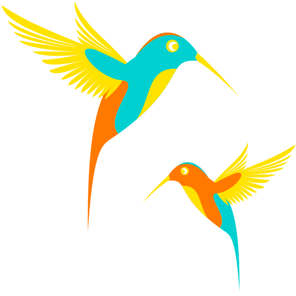Humming birds in flight illustration