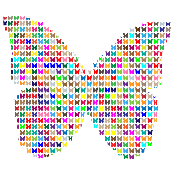 Colorful fractal butterfly