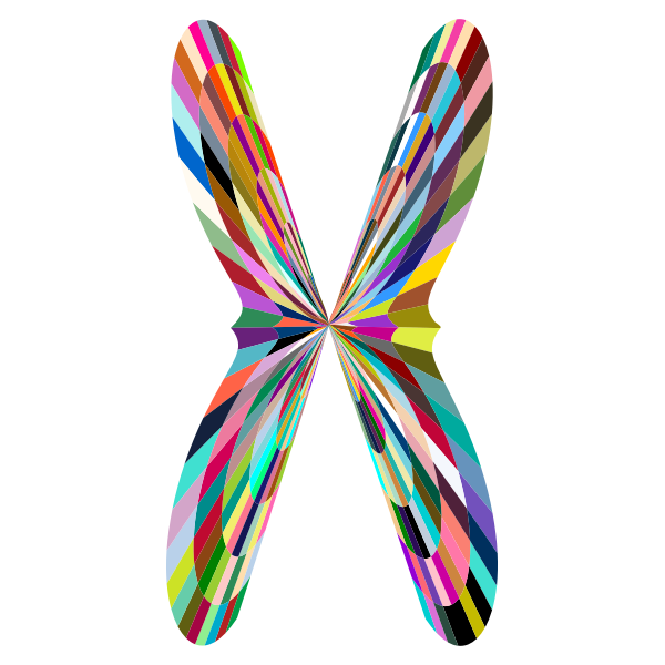 Colorful Geometric Butterfly 2 | Free SVG