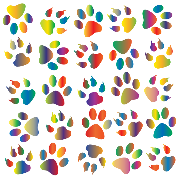 Colorful Paw Prints Pattern Background Reinvigorated 4 No Black background
