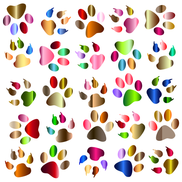 Colorful Paw Prints Pattern Background Reinvigorated No Black background