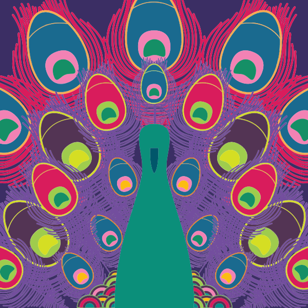 Colorful peacock line art