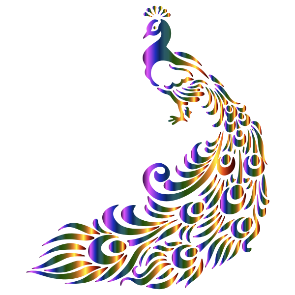Colorful peacock vector image