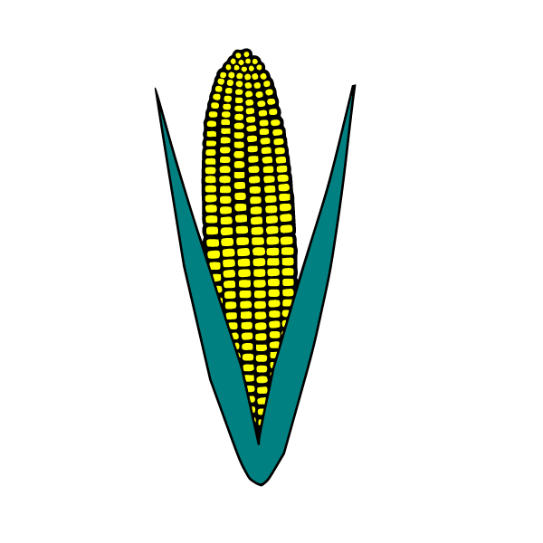 Corncob II