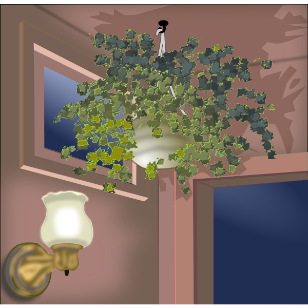 Vector illustration of hanging plant in the corner of a room
