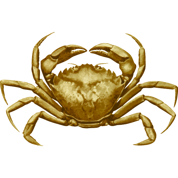 Crab4