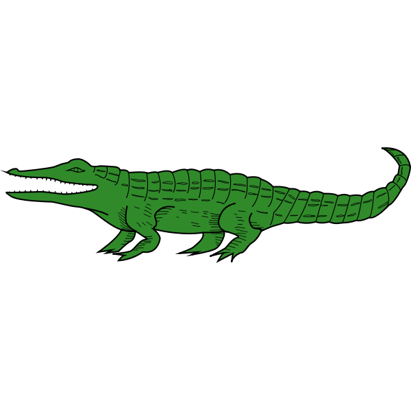 Crocodile4