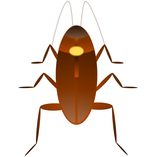 Cockroach illustration