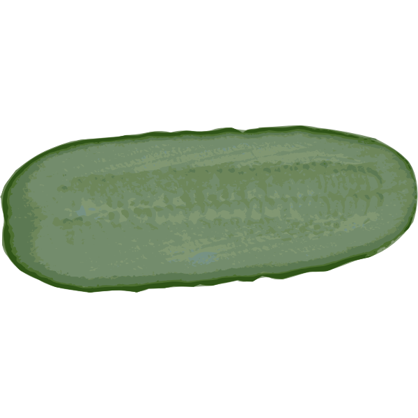 Fresh cucumber slice