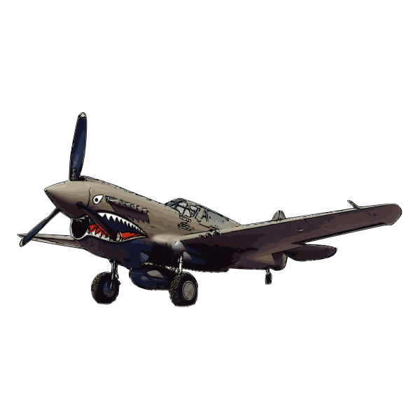 P-40 Warhawk aircraft vector illustration