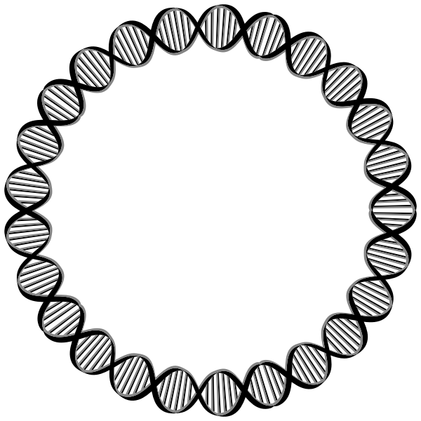 DNA Circle Large