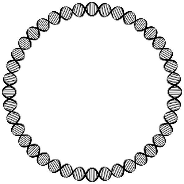 DNA Circle Medium