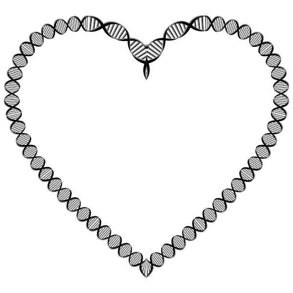 DNA Heart Variation 2