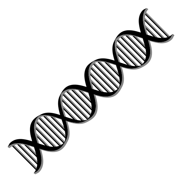 DNA Helix Variation 2