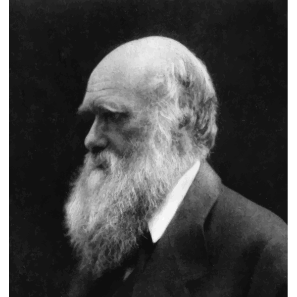 Galileo s Drawing Free SVG Galileo s drawing free svg