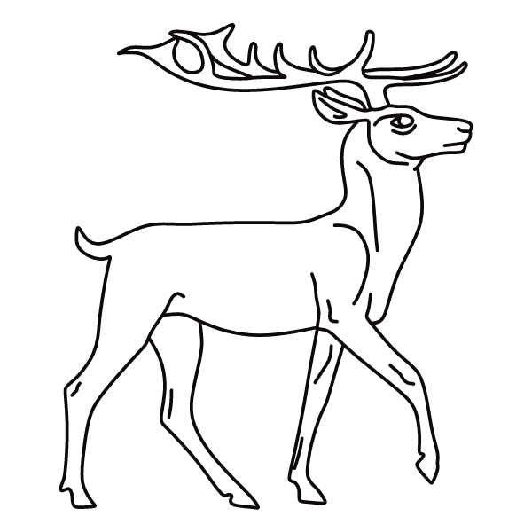 Deer 46