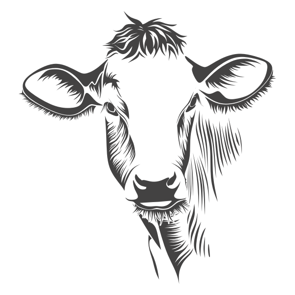 Free Free 91 Baby Cow Face Svg Cartoon Cow Svg SVG PNG EPS DXF File