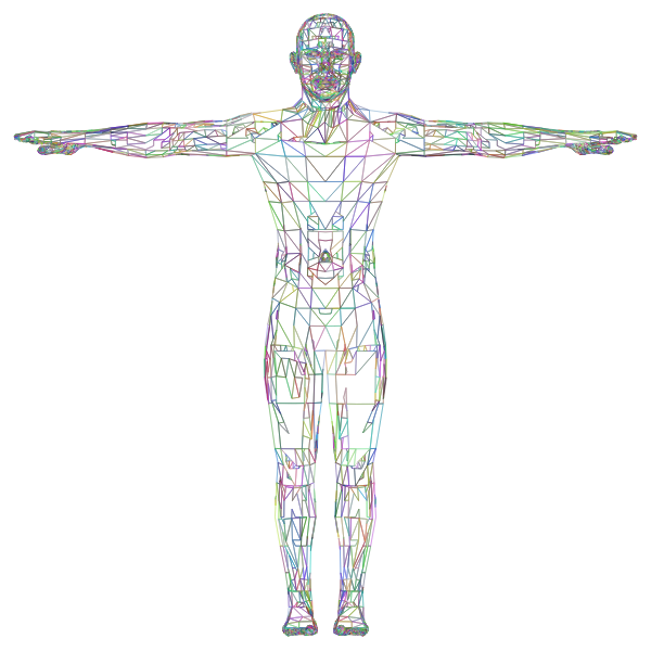 Detailed Low Poly Man Wireframe Prismatic