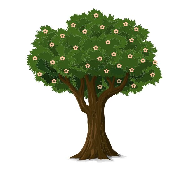 Detailed Tree