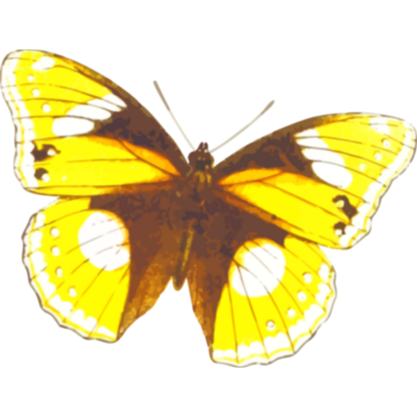 Download Yellowish Butterfly Free Svg