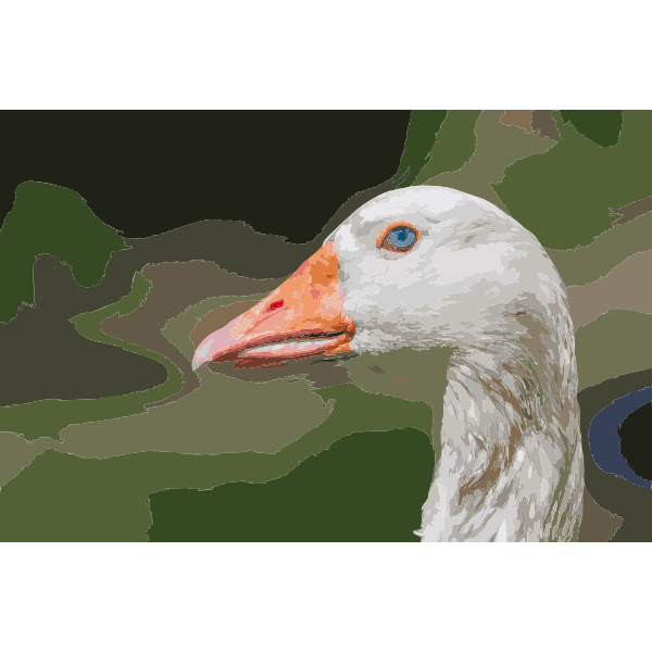 Domesticated goose head Chaguaramal Venezuela 2016121856