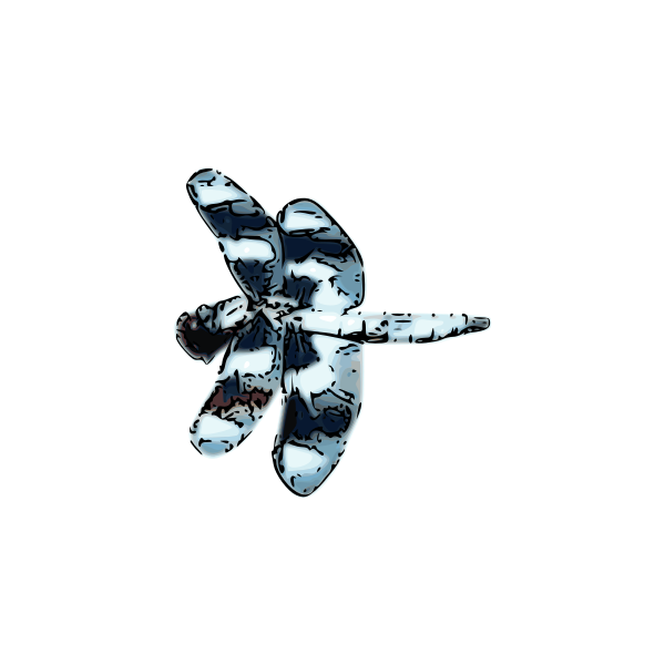 Dragonfly03