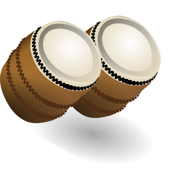 A pair of bongos vector illustration
