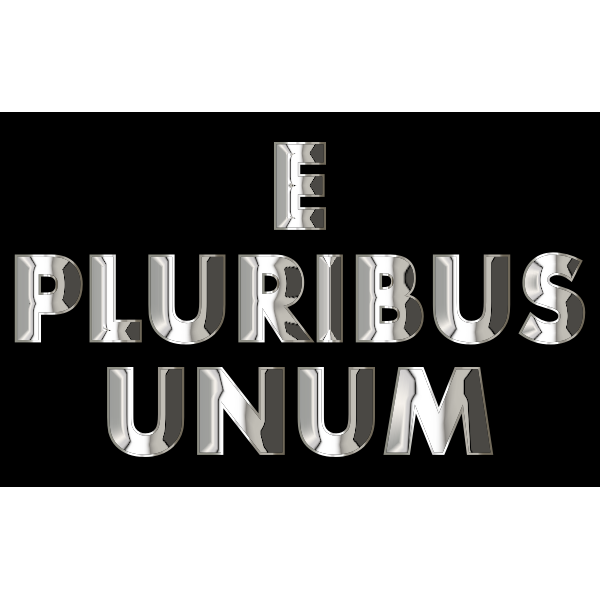 E Pluribus Unum Chrome Typography
