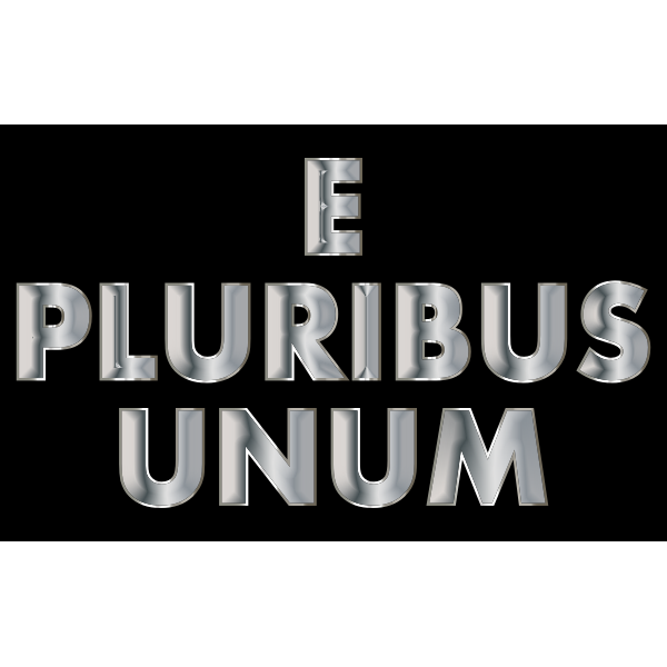 E Pluribus Unum Stainless Steel Typography