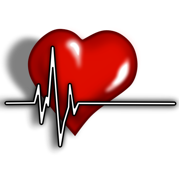 A heart with ECG complex vector illustration