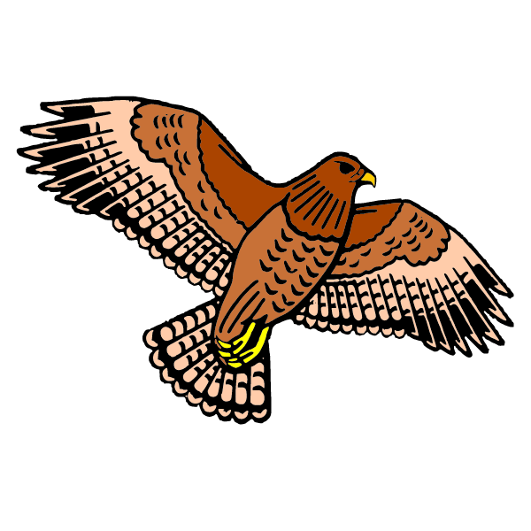 Eagle III